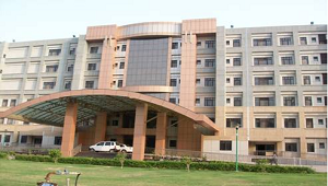 Directorate of Health services